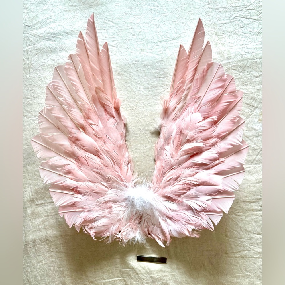 Stonehart Designer Made Floating Wings in Blush